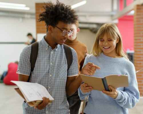 Can You Do an Exchange Year Without Speaking the Language?